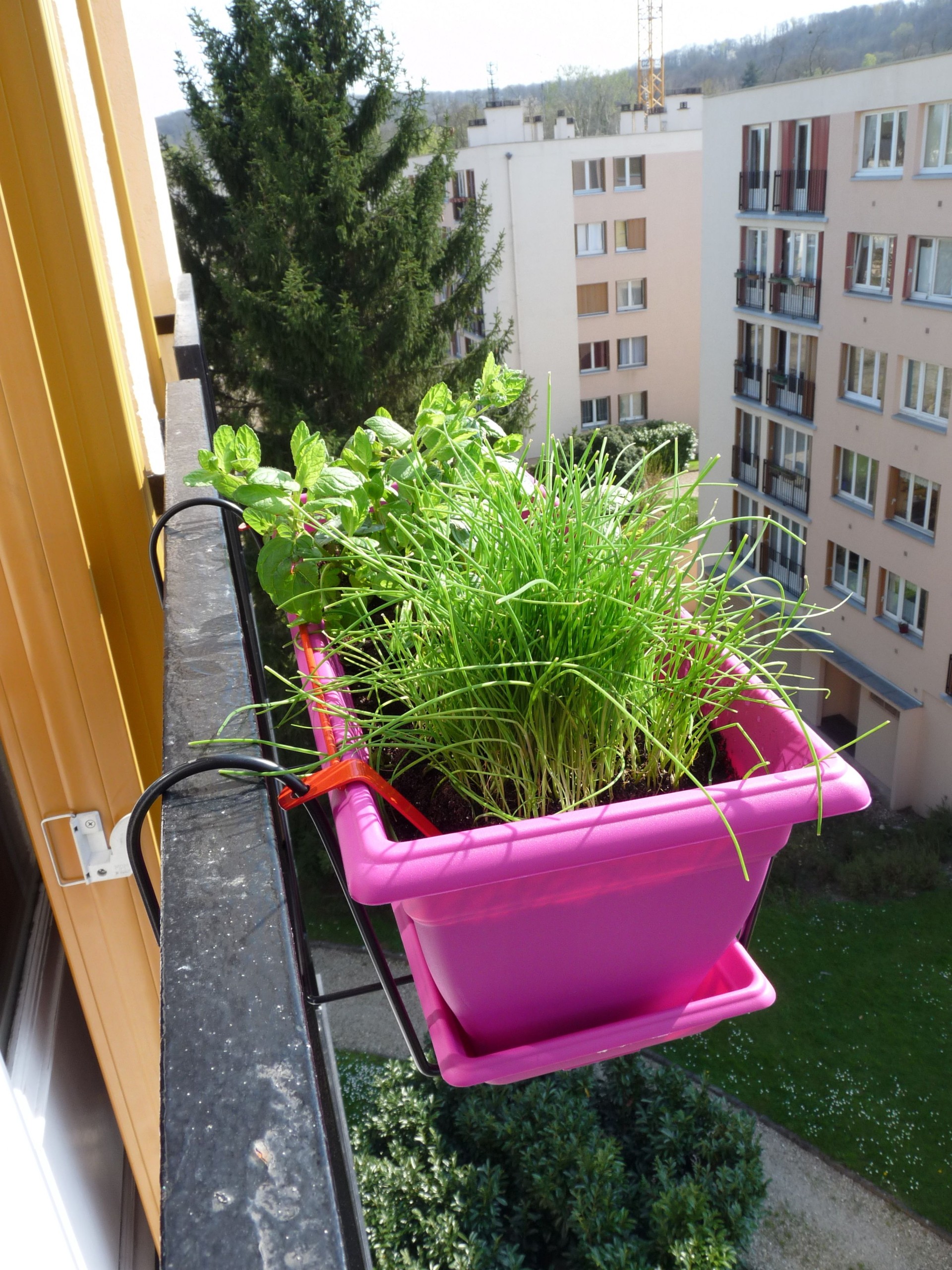 jardinet-3