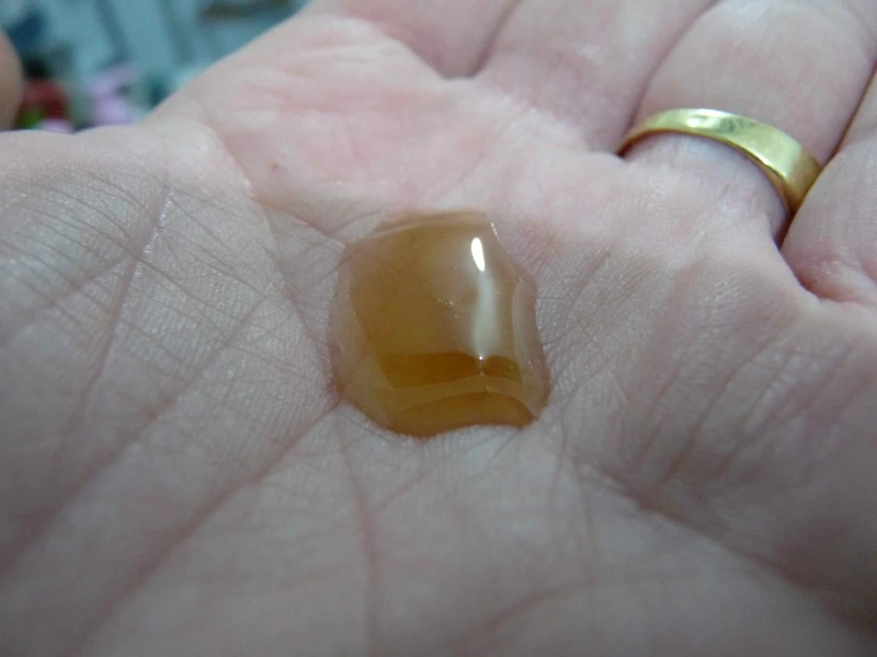 shampooing Lush Mousse brune bière sylvia stout