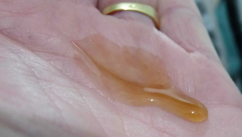 shampooing Lush Mousse brune bière sylvia stout