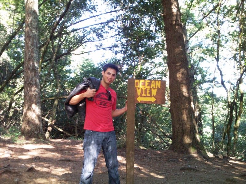 muir woods-4