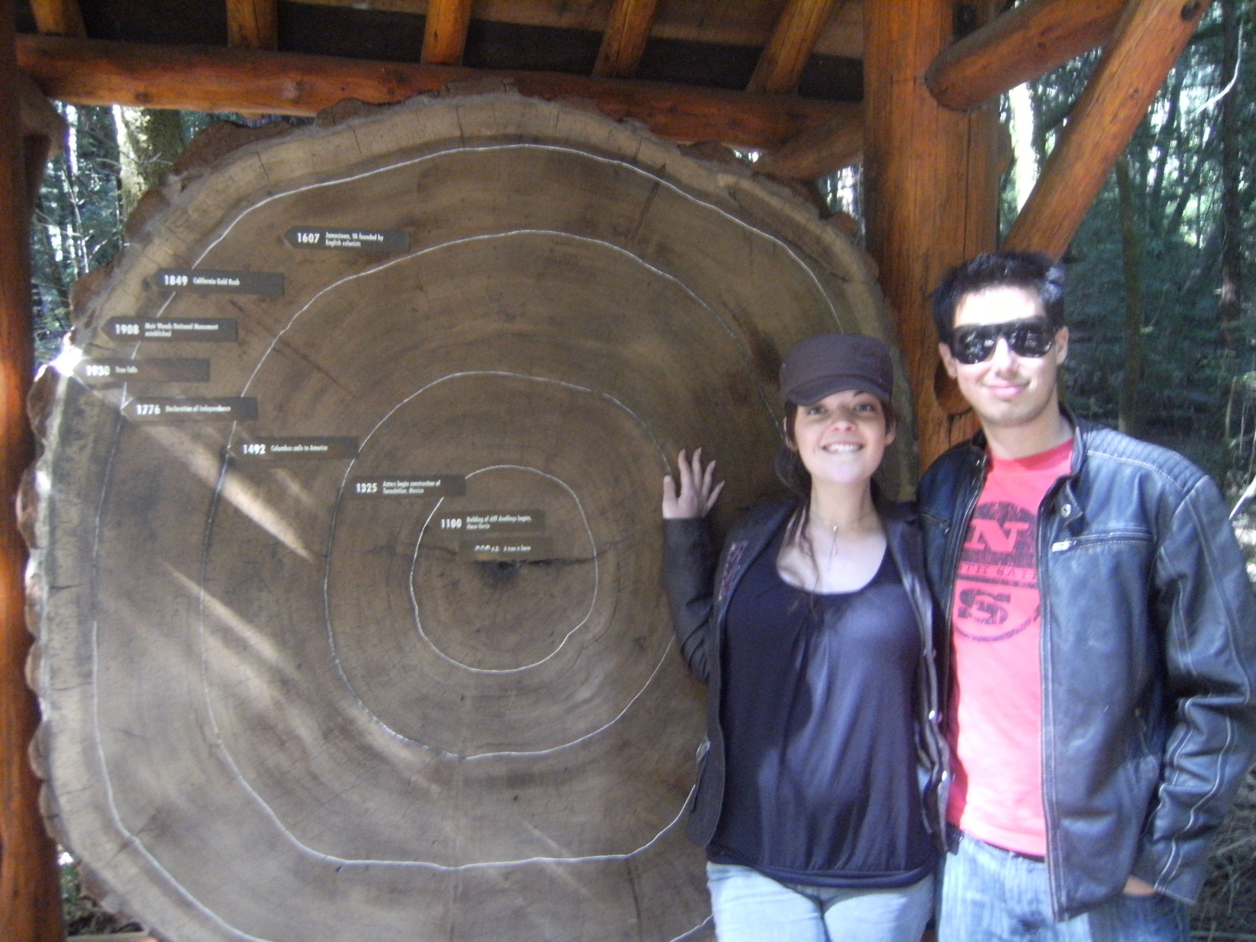 Muirwoods1