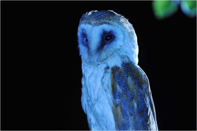 Ce billet est presque normal ( Phénomènes Paranormaux )