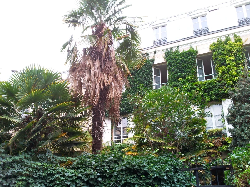 cité-5