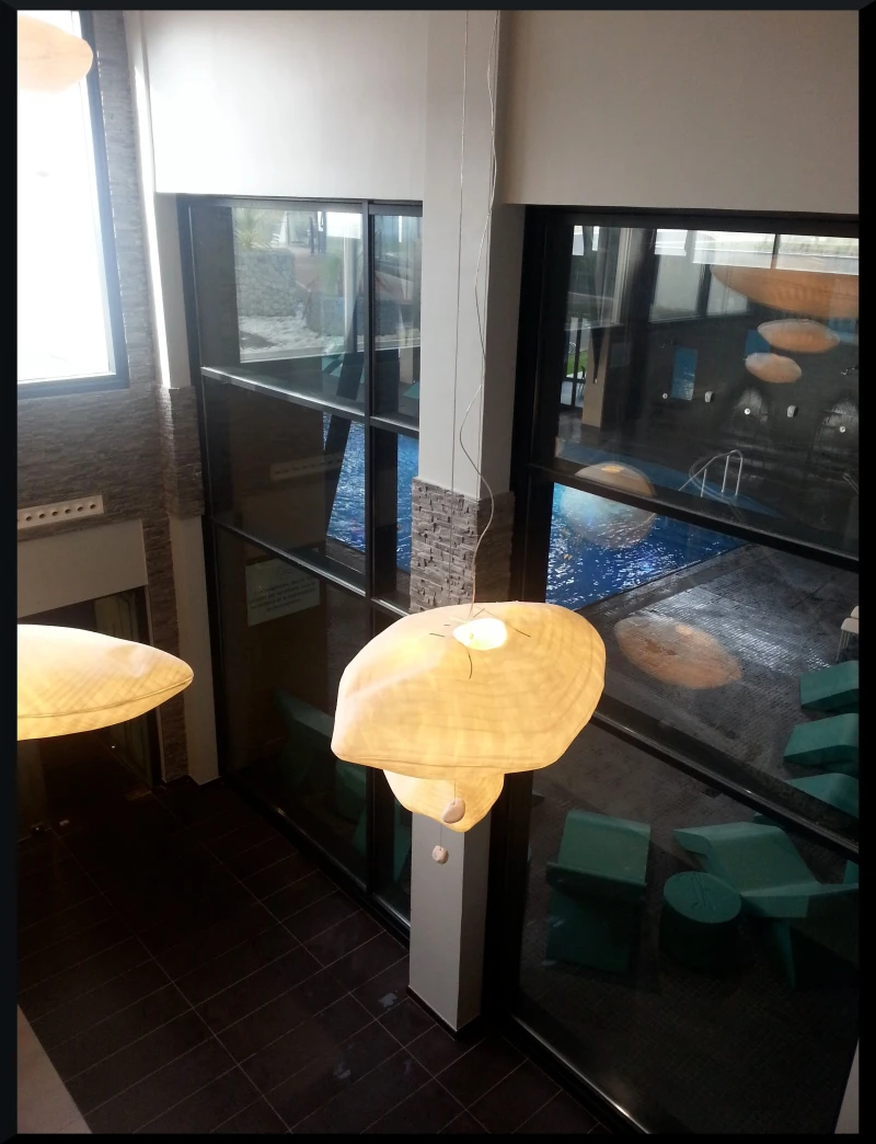 Vue sur la piscine depuis la réception