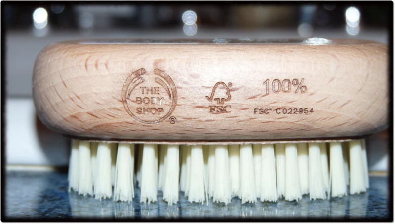 brosse-2