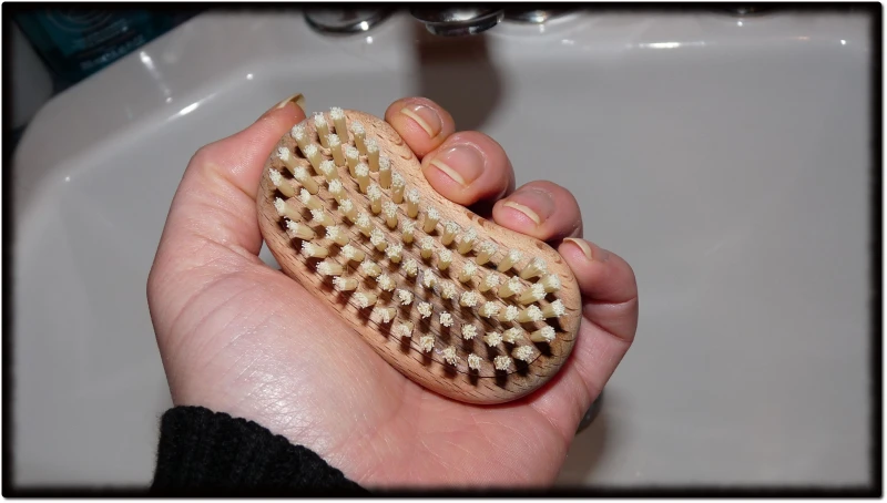 brosse-3