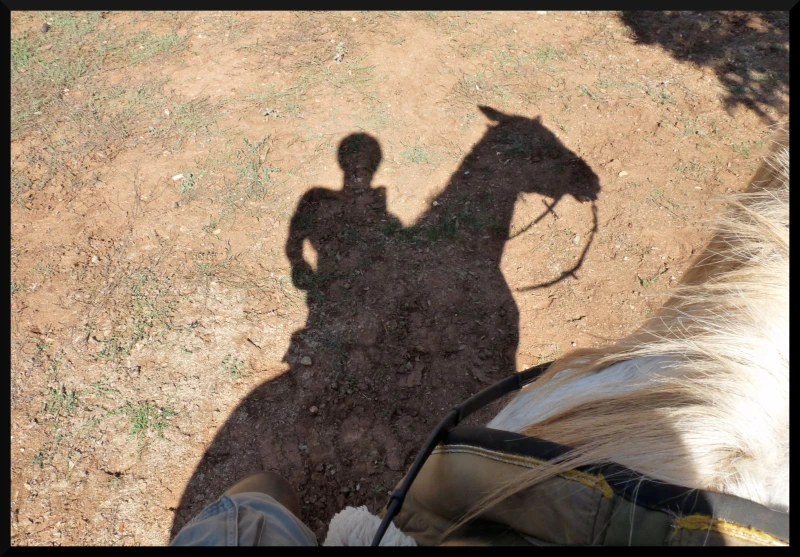 Et il se prend même pour Lucky Luke ( casqué mais Lucky Luke quand même )