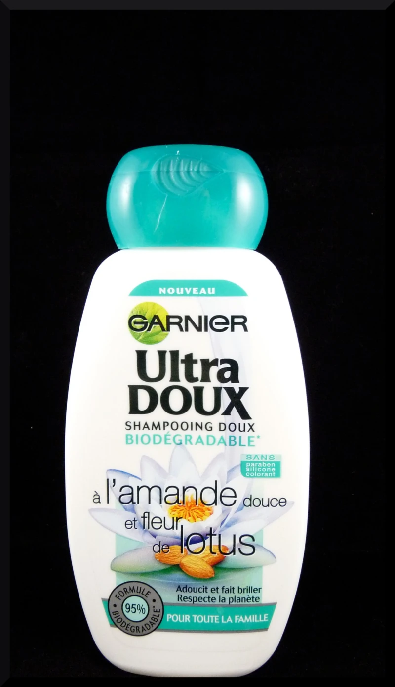 garnier - 1