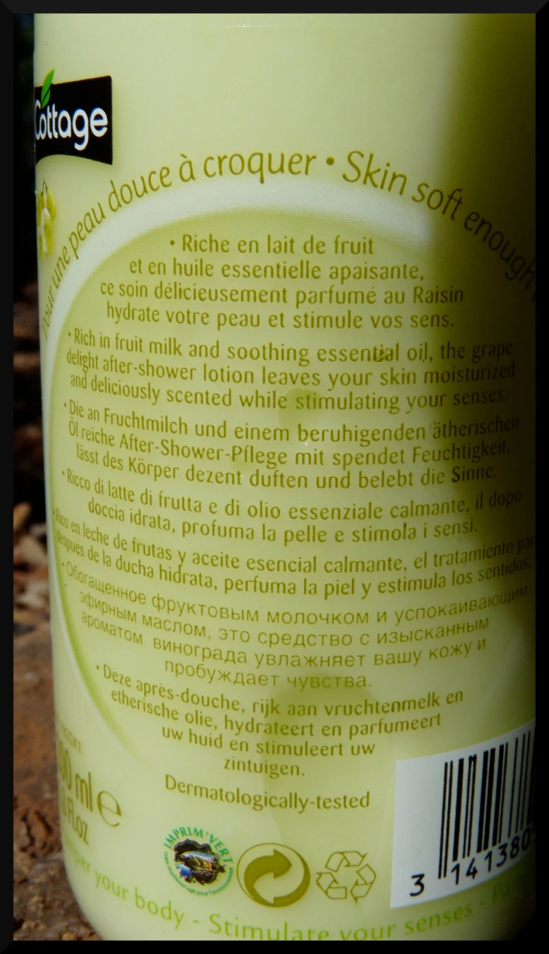 raisin - 4